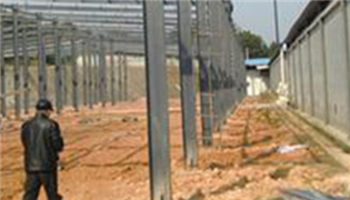 盛友友集團隆重亮相中國蘑菇節