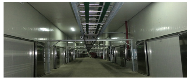 （寧夏）科技局給予本司技術(shù)人員王小軍、屈安民有機(jī)杏鮑菇高產(chǎn)技術(shù)創(chuàng)新表彰會(huì)的通報(bào)